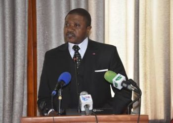 Cameroon: Minister of Transport guarantees MPs  to revamp CAMAIRCO and improve other means of transport