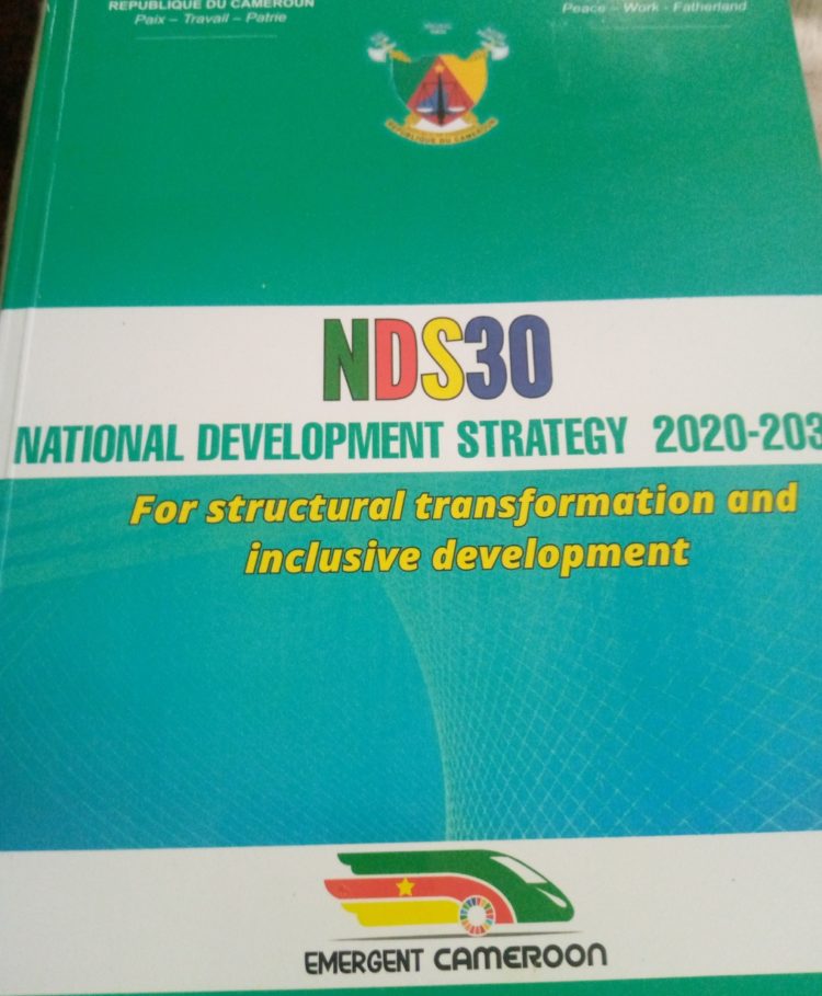 Cameroon Government presents  its National Development Strategy for 2020-2030