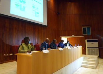 Cameroon: Government examines strategies for post-covid-19 economic recovery