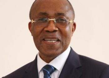 The government aims to position Cameroon as a hub for international exchanges and negotiations in the mining sector through Cimec