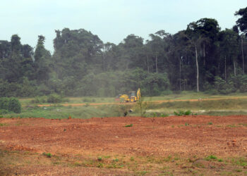 Gabon: Gov’t To Release 1,500 New Building Lots Soon