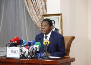 Cameroon organizes hitch-free second regional elections