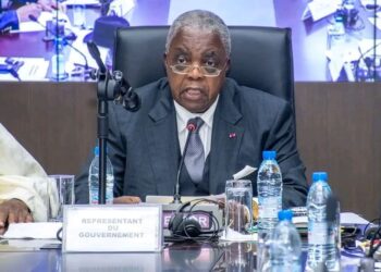 Cameroon: Gov’t, via Spokesman, Refutes EU Allegations Concerning Anicet Ekane’s Demise