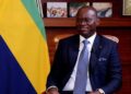 Gabon: New Government Formation Signals Pledge to Democracy and Good Governance