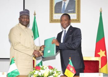 Cameroon-Nigeria Border Security Pact: A Fresh Step in Bilateral Defence